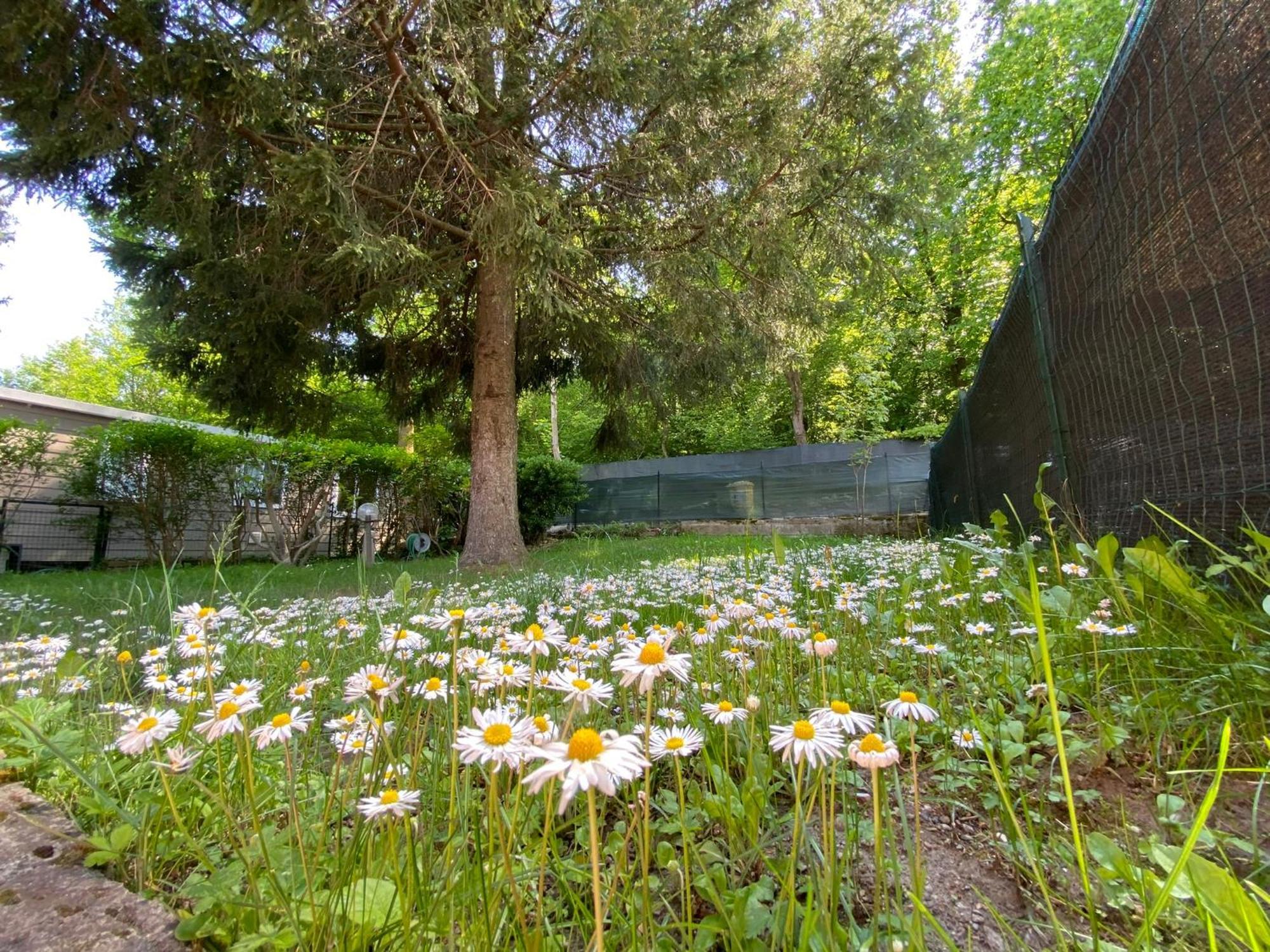 Camping Montorfano מראה חיצוני תמונה